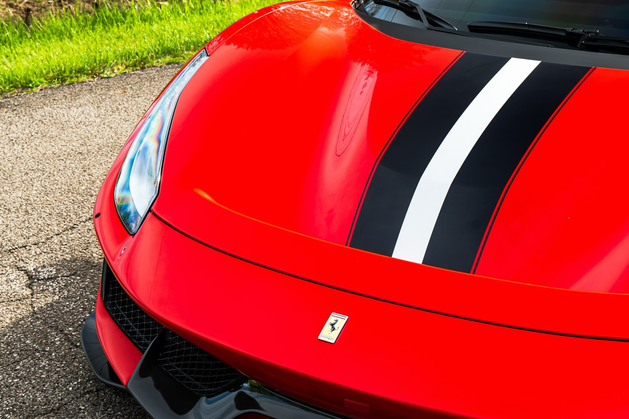 paint protection film