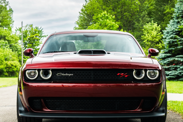 paint protection film